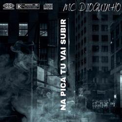 NA PICA TU VAI SUBIR