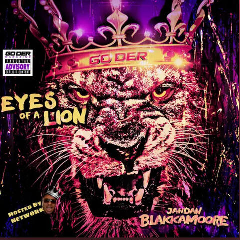 Eyes of a Lion
