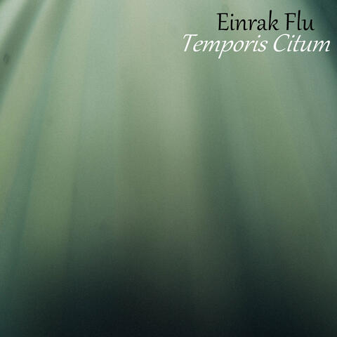 Temporis Citum