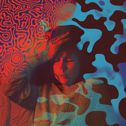 Shadowed Understanding