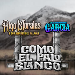Como El Palo Blanco