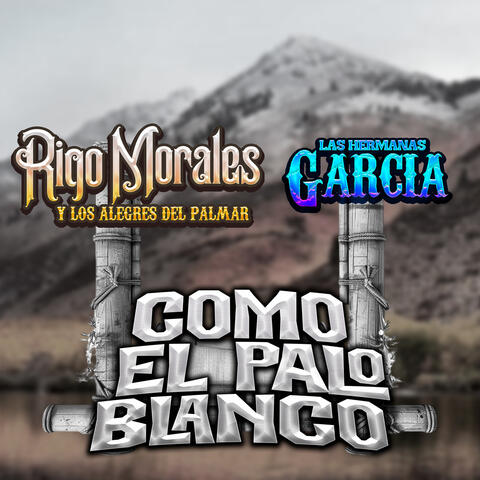 Como El Palo Blanco
