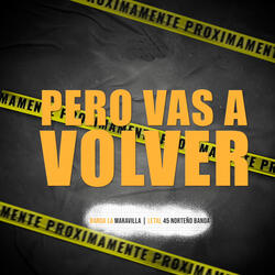 Pero Vas a Volver
