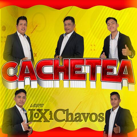 Cachetea