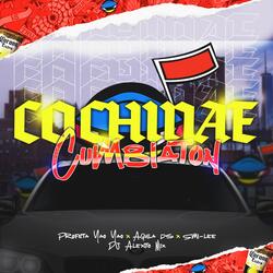 Cochinae