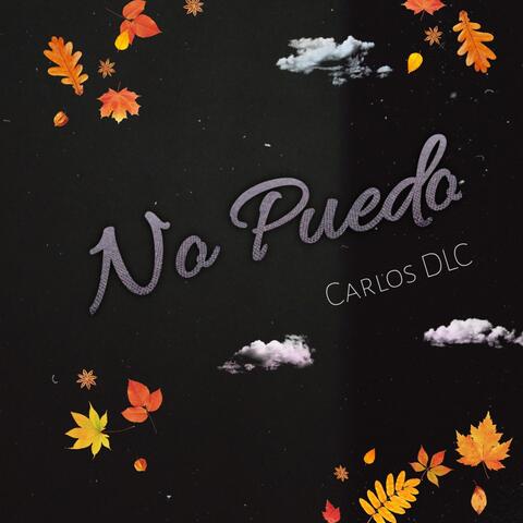No Puedo