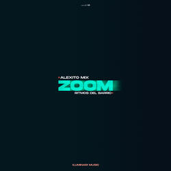 Zoom