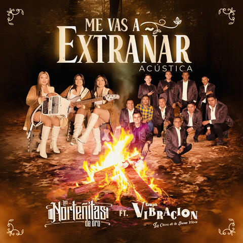 Me Vas A Extrañar