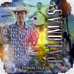 Palomas Que Andan Volando