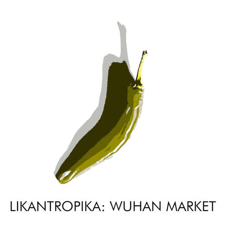 Wuhan Market