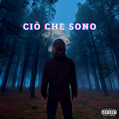 CIO' CHE SONO