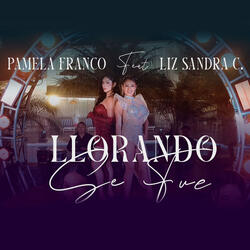 Llorando Se Fue