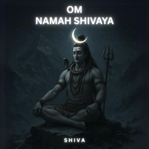 Om Namah Shivaya