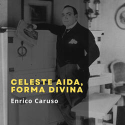 Celeste Aida, forma divina