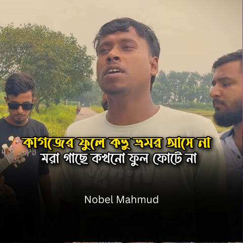 কাগজের ফুলে কভু ভ্রমর আসে না