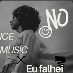 EU FALHEI