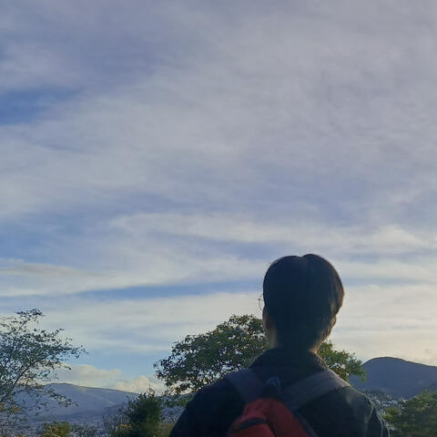 LA VIDA DESPUÉS DEL AMOR