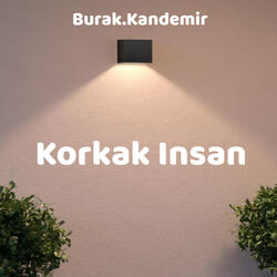 Korkak Insan
