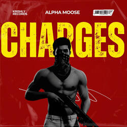Charges Freestyle