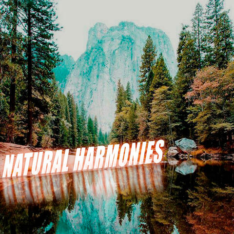 Natural Harmonies