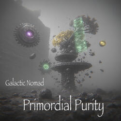 Primordial Purity