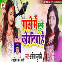 Gachhi Me Kuhuke Koyaliya He