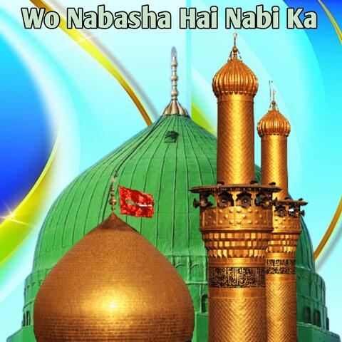 Saleem Raza