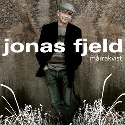 Mørketall