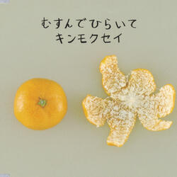 ムスンデヒライテ