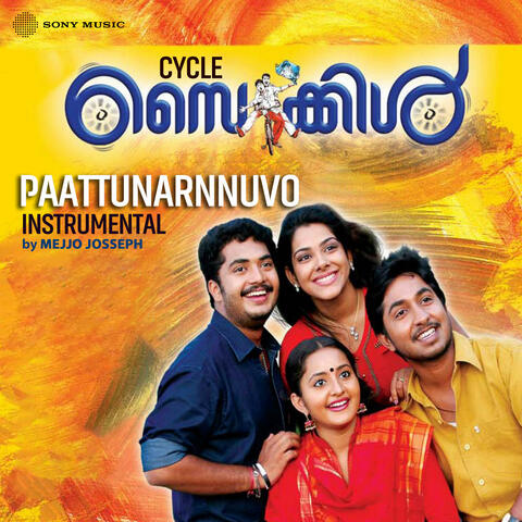 Paattunarnnuvo