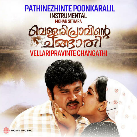 Pathinezhinte Poonkaralil