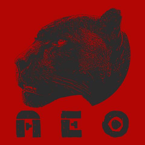 A.E.O.