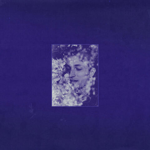 indigo