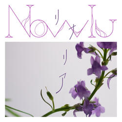 Linaria