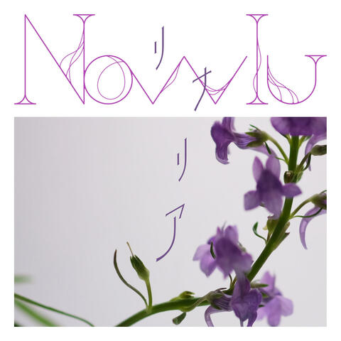 Linaria