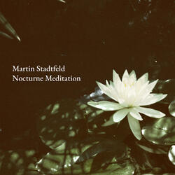 Nocturne Meditation (After Nocturnes, Op. 37, No. 2: Andantino)