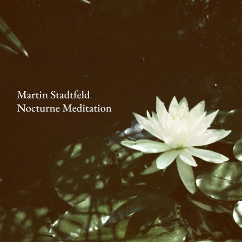 Nocturne Meditation (After Nocturnes, Op. 37, No. 2: Andantino)
