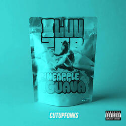 Pineapple & Guava (Fast)