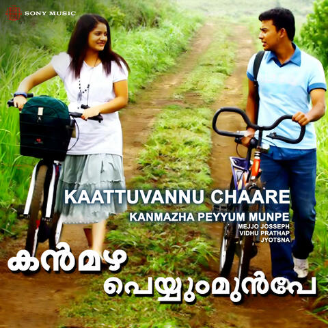 Kaattuvannu Chaare