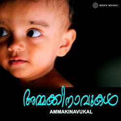 Kanninu Kannil