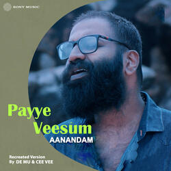 Payye Veesum