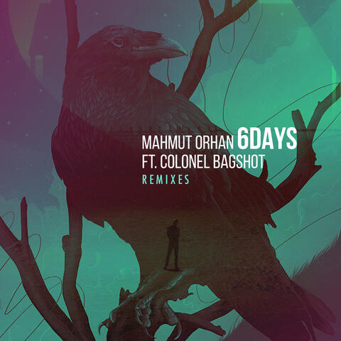 6 Days