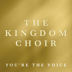 You're the Voice