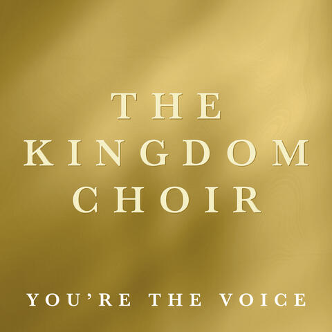 You're the Voice