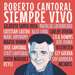 El Caballero del Bolero