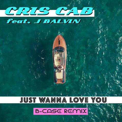 Just Wanna Love You
