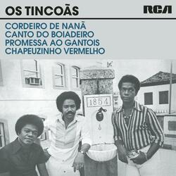Canto do Boiadeiro