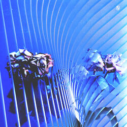 Dead Flowers