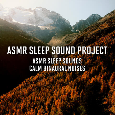 ASMR Sleep Sounds - Calm Binaural Noises