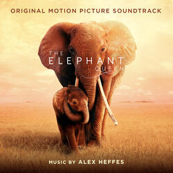 What it Means to be an Elephant